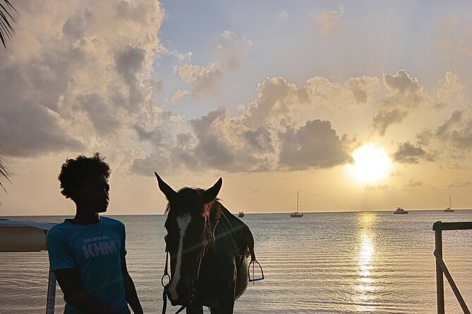 2 Hour Horseback Riding Sunset Tour with Dore's Riding Stable - Pigeon Pointe or Emerald Bay at sunset