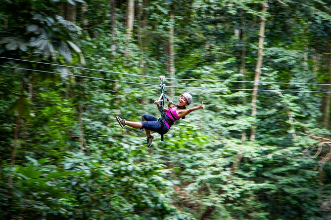 Adrena-Line Zipline, St. Lucia - Key Points Before You Book