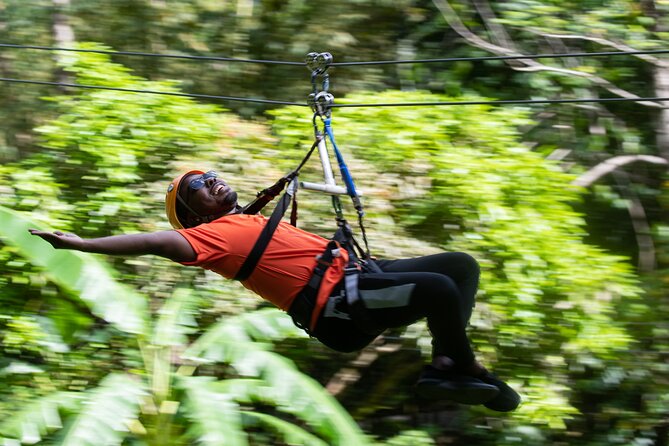 Adrena-Line Zipline, St. Lucia - How Long the Two-and-a-Half-Hour Visit Feels