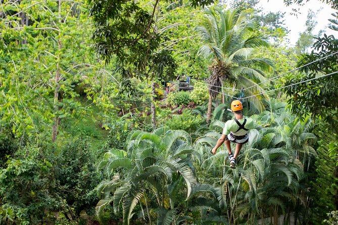 Adrena-Line Zipline, St. Lucia - Practical Tips for a Smoother Visit