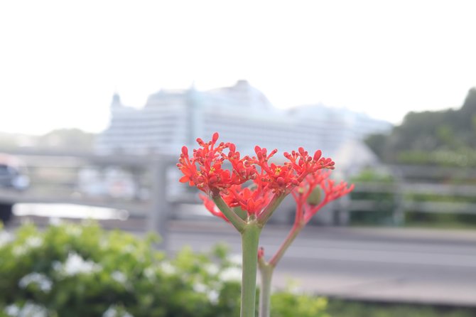 Airport Transfers - Hewanorra International Airport (UFV) One Way - Who should book this transfer?
