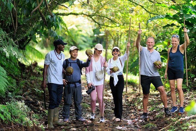 ATV Rainforest Adventure in St. Lucia - Riding from Belle Plaine into the rainforest