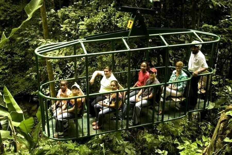 Babonneau/Castries: Rainforest Zip Line, Tram, and Hike Tour - Three ways to experience St. Lucia’s rainforest