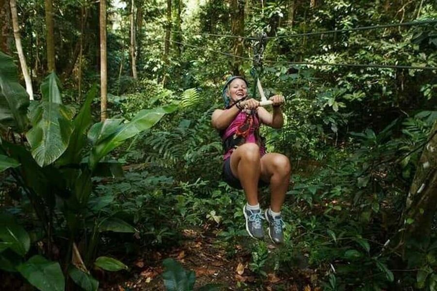 Babonneau/Castries: Rainforest Zip Line, Tram, and Hike Tour - The aerial tram: a calm view from the canopy