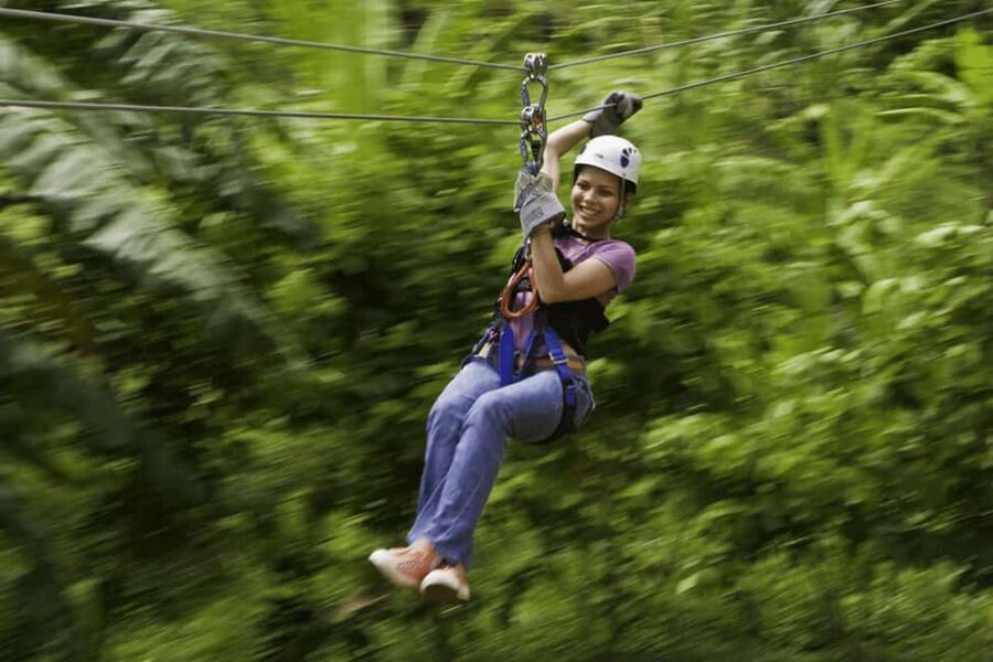 Babonneau/Castries: Rainforest Zip Line, Tram, and Hike Tour - The guided hike and the forest story