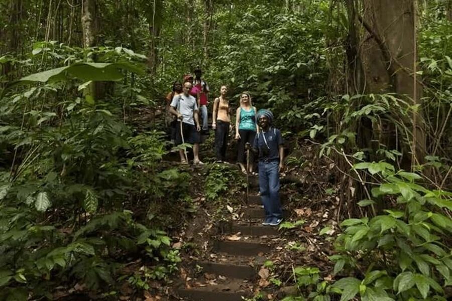 Babonneau/Castries: Rainforest Zip Line, Tram, and Hike Tour - Reaching the Castries Waterworks Reserve