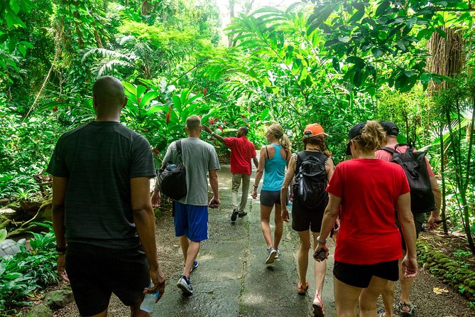 Best of Both Worlds Land and Sea Adventure - Diamond Botanical Gardens and the changing waterfall