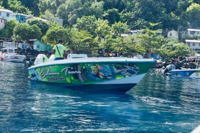 Best Of Full-Day Snorkeling & Beach Excursion with lunch & drinks