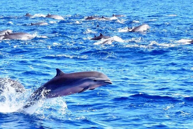 Best Of Full-Day Snorkeling & Beach Excursion with lunch & drinks - Mud baths, waterfall, and the land-and-sea option