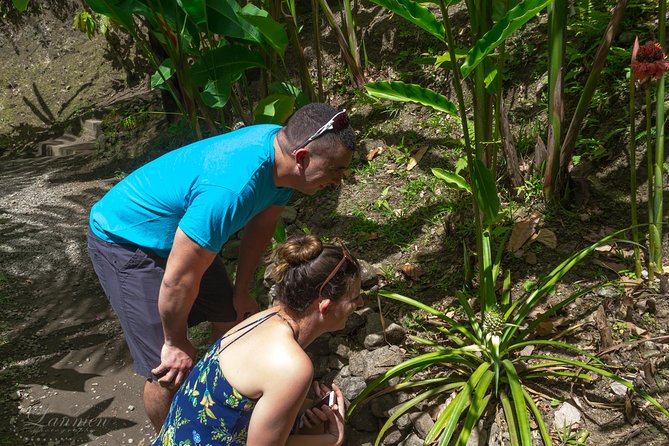 Couples Private St. Lucia Highlights Tour - Lunch overlooking the Pitons