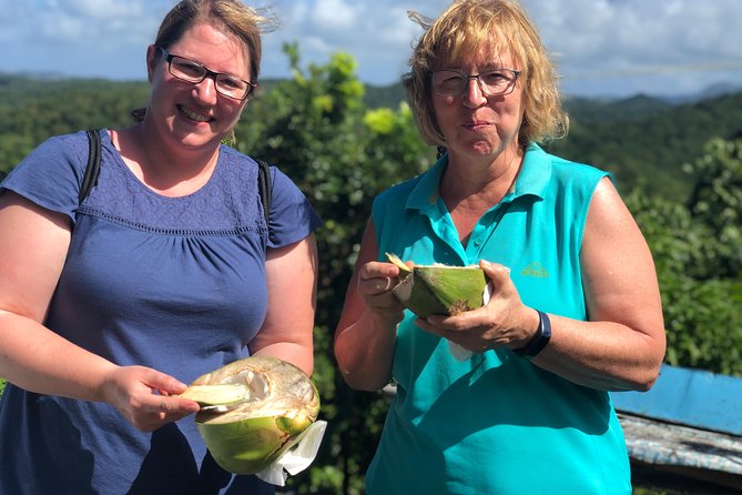 Cruise Excursions in St. Lucia - La Soufriere’s drive-in volcano and mud bath