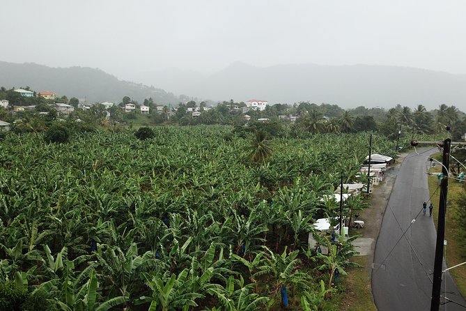 Cruise Excursions in St. Lucia - Marigot Bay, Morne Fortune, waterfalls, and rum