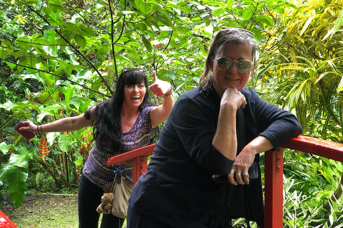 Cruise Excursions in St. Lucia - Riding the west coast toward Castries views