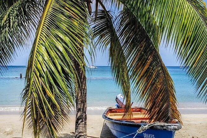 Cruise Port and Airport Arrival Transfers to Hotels in St. Lucia. - Chris and the team keep the tone personal