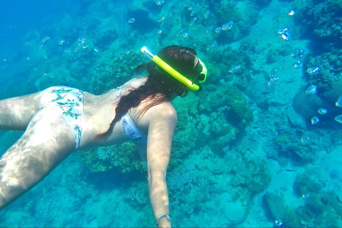 Dash and Splash Snorkel Adventure St Lucia - Is $600 a fair price?