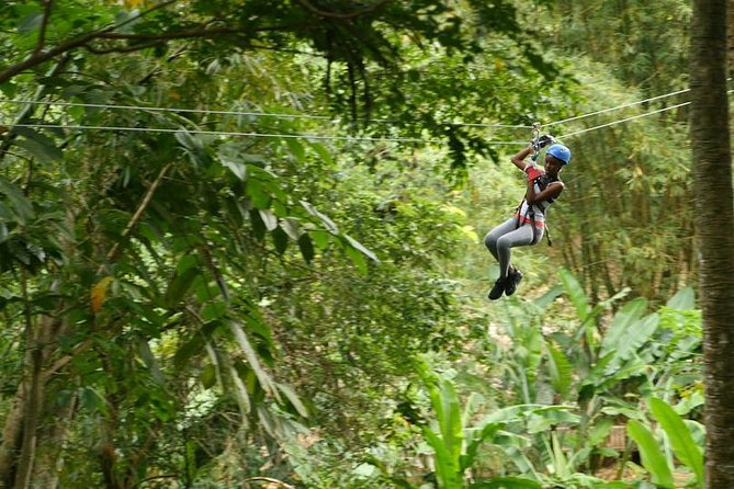 Day of Adventure - Zipline and Hike or Bike - Key points at a glance