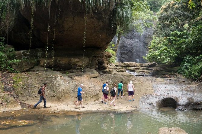 Day of Adventure - Zipline and Hike or Bike - Starting with 12 lines in the St. Lucia rainforest