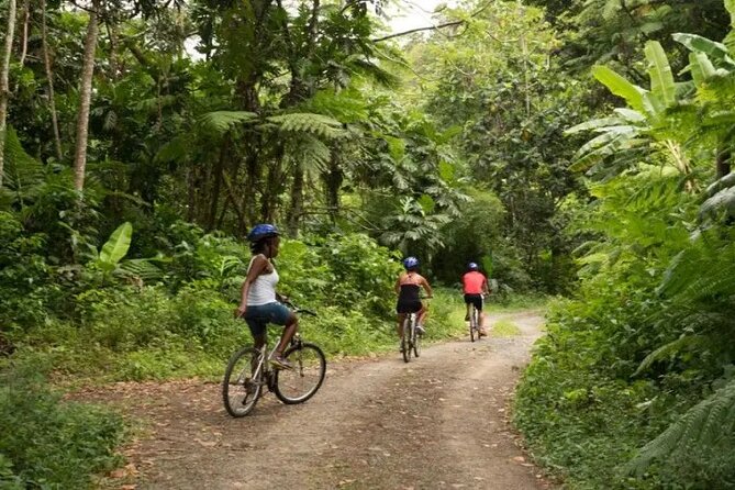 Day of Adventure - Zipline and Hike or Bike - Why Errard Waterfall changes the value