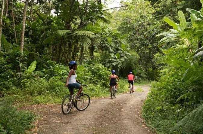 Day of Adventure - Zipline and Hike or Bike - What to bring and how to prepare