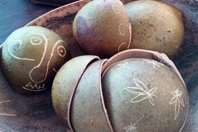 DIY Craft Your Own wooden Bowl : from a calabash fruit! - Key points to know before booking