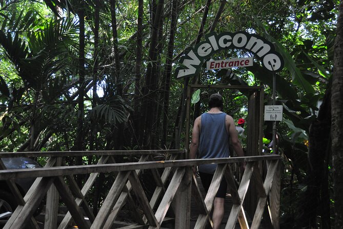 Drive and Fly - Buggy and Zipline - What the 12 ziplines feel like