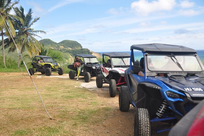 Drive and Fly - Buggy and Zipline - Driving a two-seat or four-seat buggy
