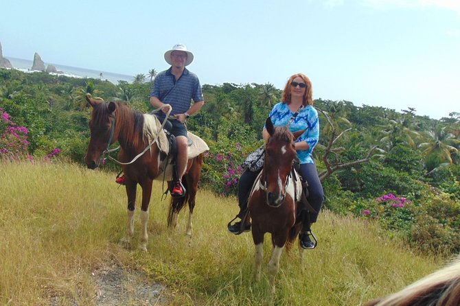 East Coast Horseback Riding & Waterfall Excursion - Guides who add more than horse handling