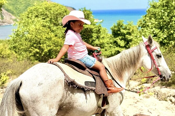 East Coast Horseback Riding & Waterfall Excursion - The Atlantic beach, coconut water, and practical comforts