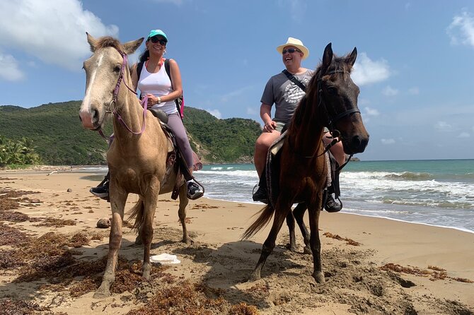 East Coast Horseback Riding, Waterfall & Soufriere Private Tour - Why this private east coast tour works so well