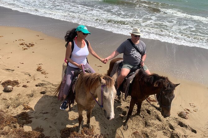 East Coast Horseback Riding, Waterfall & Soufriere Private Tour - The private format changes the pace and value