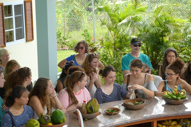 Essence of St Lucia Heritage Experience - Key points to know before booking