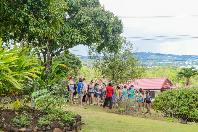 Essence of St Lucia Heritage Experience - A small museum with objects you can understand