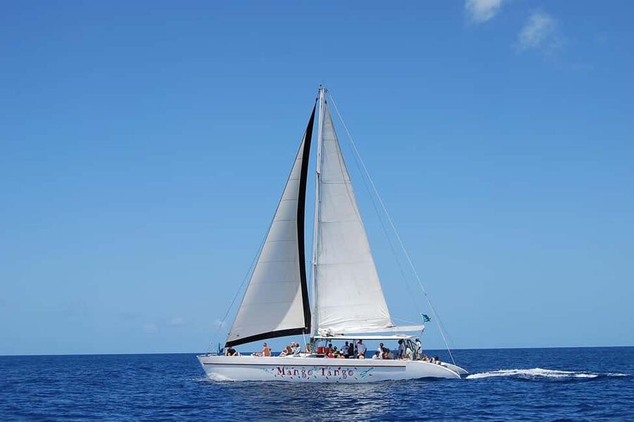 From Castries: Full-Day Catamaran Tour to Soufriere - A full day built around Saint Lucia’s west coast