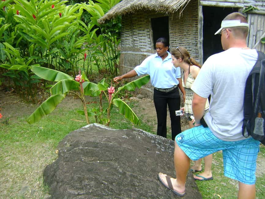 From Castries: Full-Day Catamaran Tour to Soufriere - Morne Coubaril Estate and the best meal of the day
