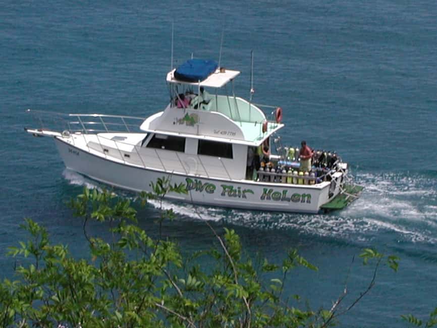 From Castries: St. Lucia Scuba Diving Excursion - Anse Cochon and the shipwreck highlight