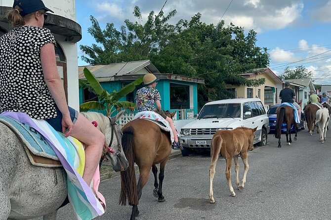 Gros Islet Village Horseback Riding run with Dore's riding Stable - From Cap Estate to the St Lucian coast
