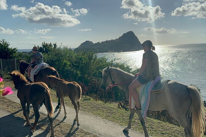 Gros Islet Village Horseback Riding run with Dore's riding Stable - Riding past Pigeon Pointe Beach