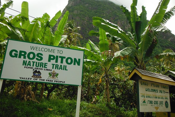 Gros Piton Hike with Dannyboy & Co. - Who should book this hike?