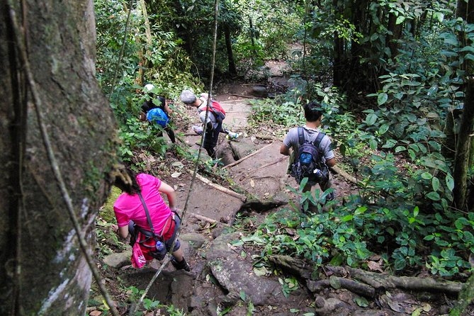 Gros Piton Hiking Adventure - Starting at Fond Gens Libre