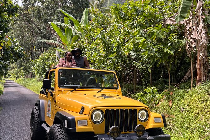 Half Day Private Tour in St. Lucia Jeep Wrangler - Key points at a glance