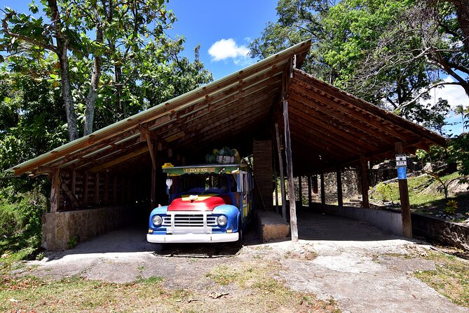 Historical 18th Century Estate Tour with Coconut Tasting - Walking the gardens and medicinal plants