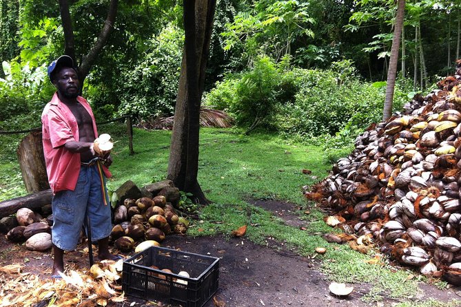 Historical 18th Century Estate Tour with Coconut Tasting - Cocoa, coffee, and the famous cocoa dance
