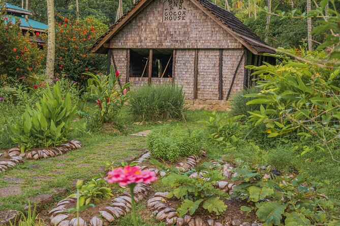 Historical 18th Century Estate Tour with Coconut Tasting - The donkey-powered sugar cane mill