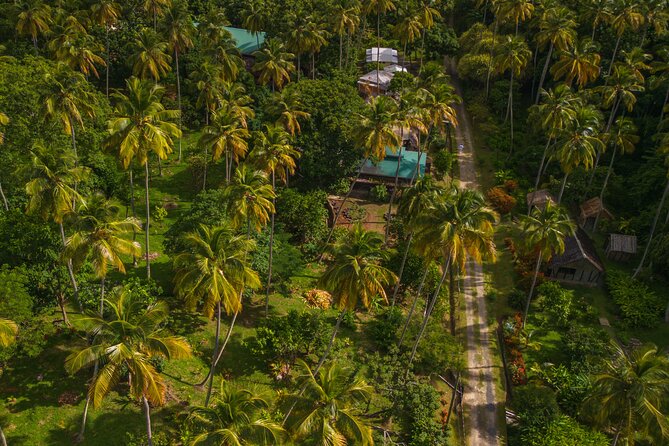 Historical 18th Century Estate Tour with Coconut Tasting - Views, photos, and the pace of the walk