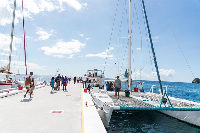 Hop & Drop Soufriere Transfer - Who will enjoy this trip most