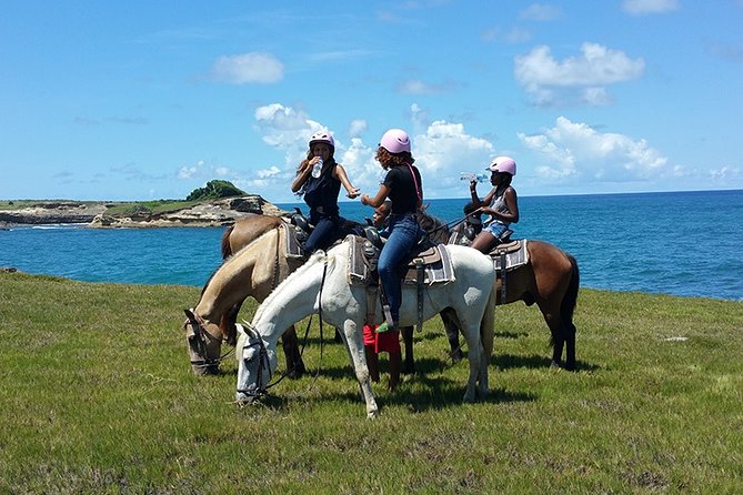 Horseback Riding Adventure Tour in St. Lucia - Key points at a glance
