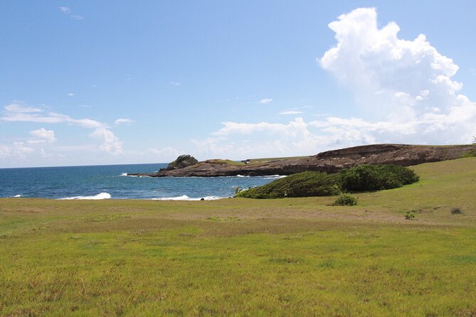 Horseback Riding Adventure Tour in St. Lucia - Reaching the rocky Atlantic coast