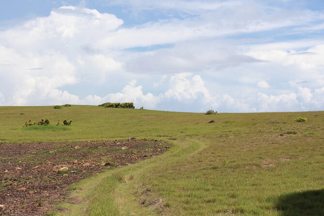 Horseback Riding Adventure Tour in St. Lucia - Two beaches and the choice to enter the water