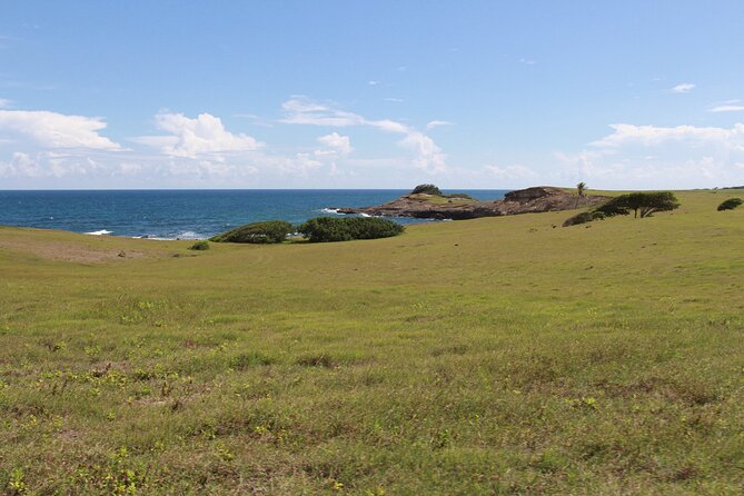 Horseback Riding Adventure Tour in St. Lucia - Timing, comfort, and what to bring