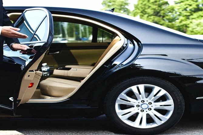 International Airport VIP Service(Expedited Arrival)& Free Transfer - No waiting - Luggage help is worth more than it sounds